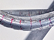 1947 Rolls-Royce Saoutchik Sedanca Coup&eacute; #WTA-45’s original exterior coach pulls were minutely detailed and complicated to reproduce.